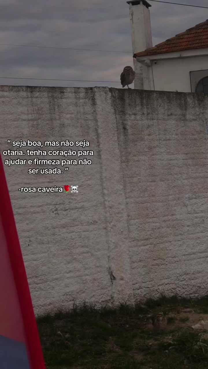 @bruxa.alice 𖤐𓃵
