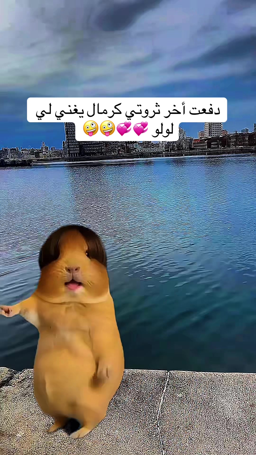 @🦋🇱🇴🇺🇱🇴🇺🦋