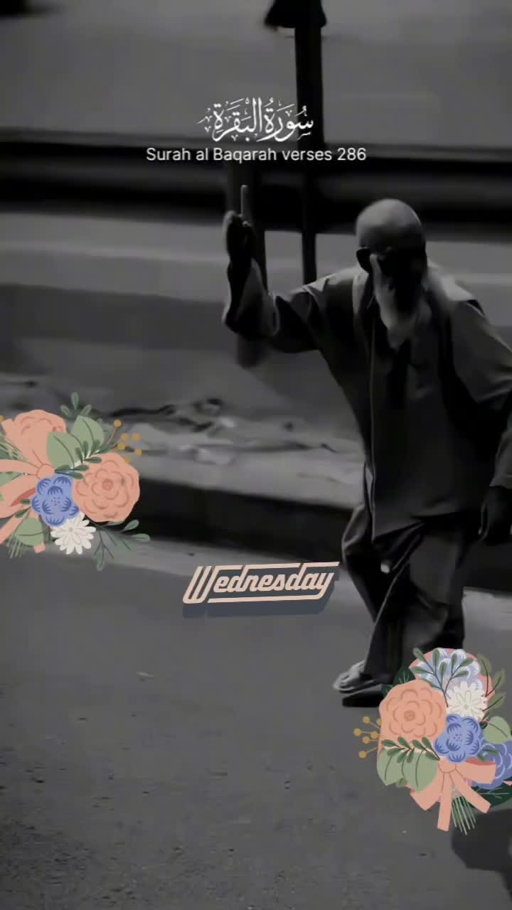 @🍃القرآن 🪴