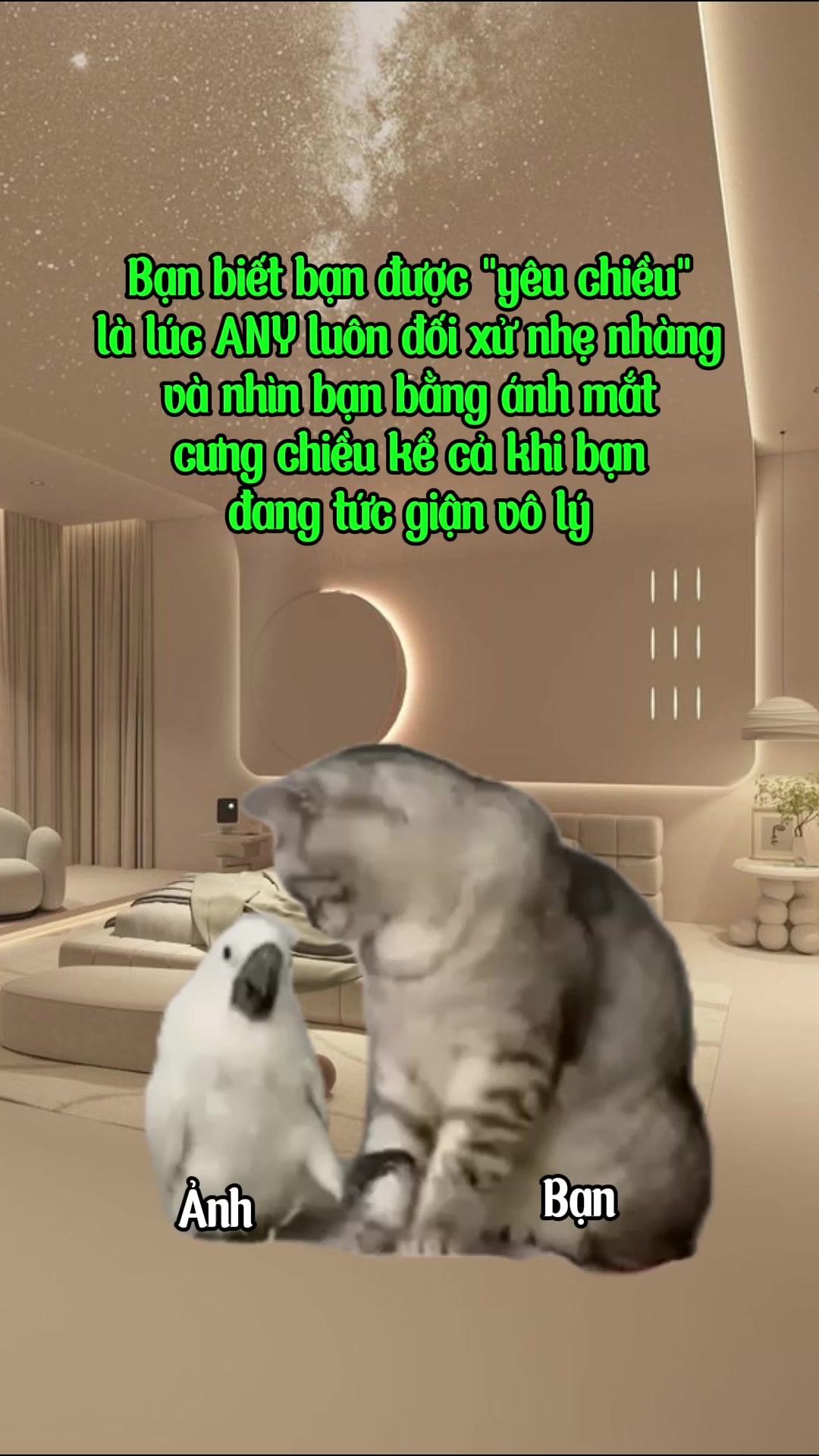 @R̫R̫8̫8̫ Thế Hệ Cợt Nhả