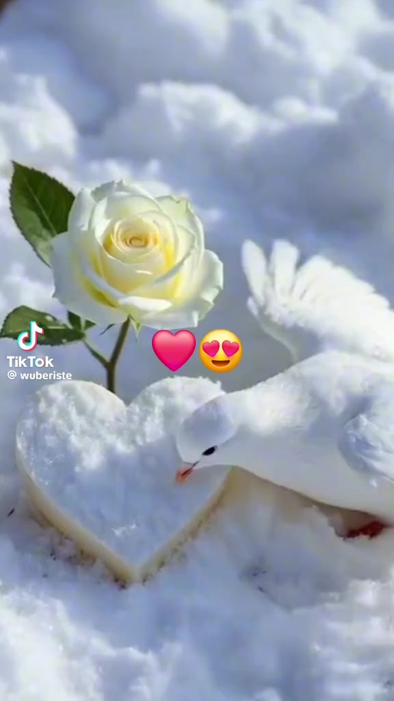 @yayat