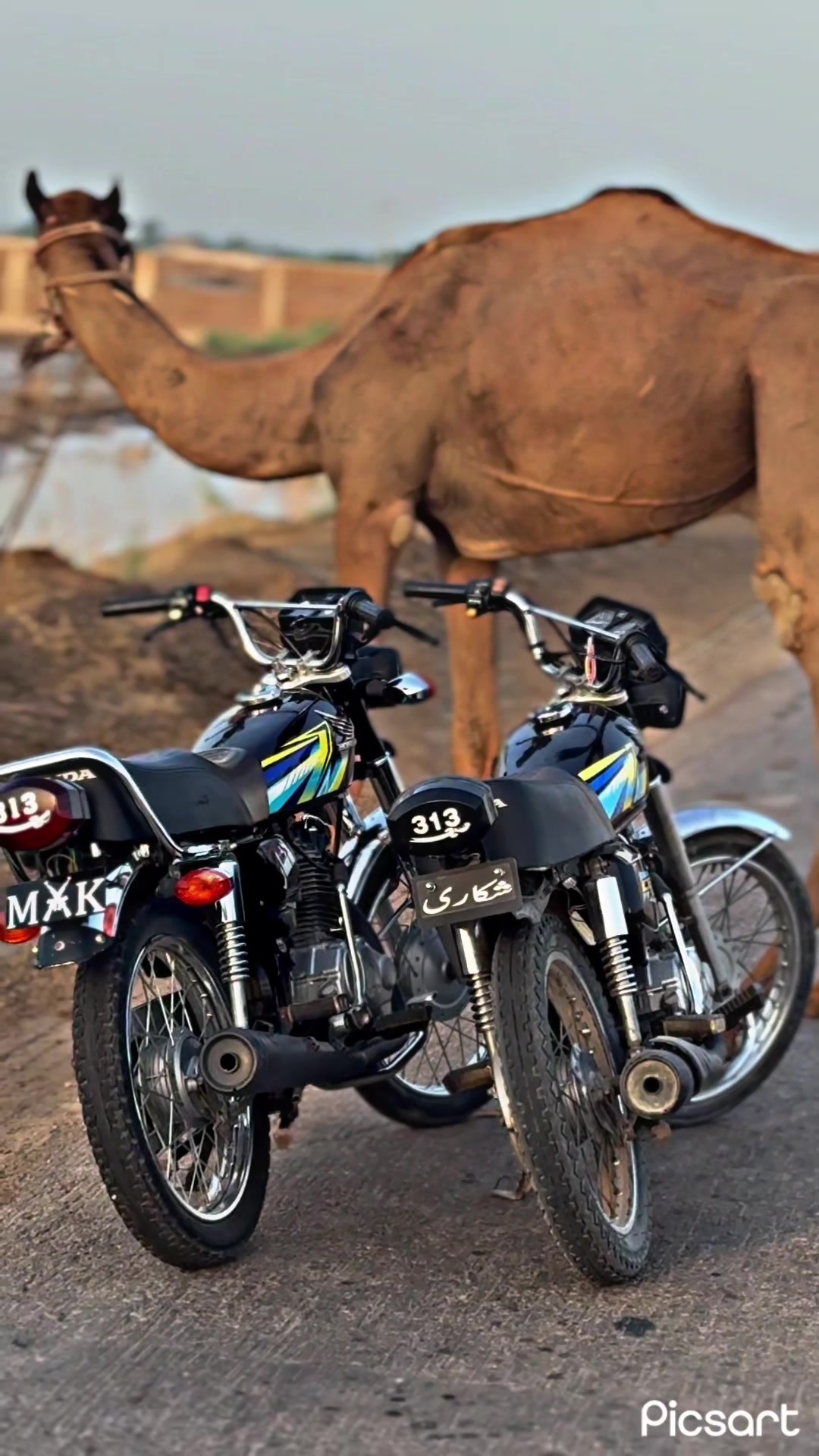 @SHOAIB HONDA 313