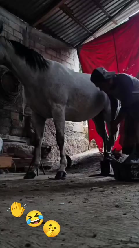 @Carlos Guzm&aacute;n 🔨🐎