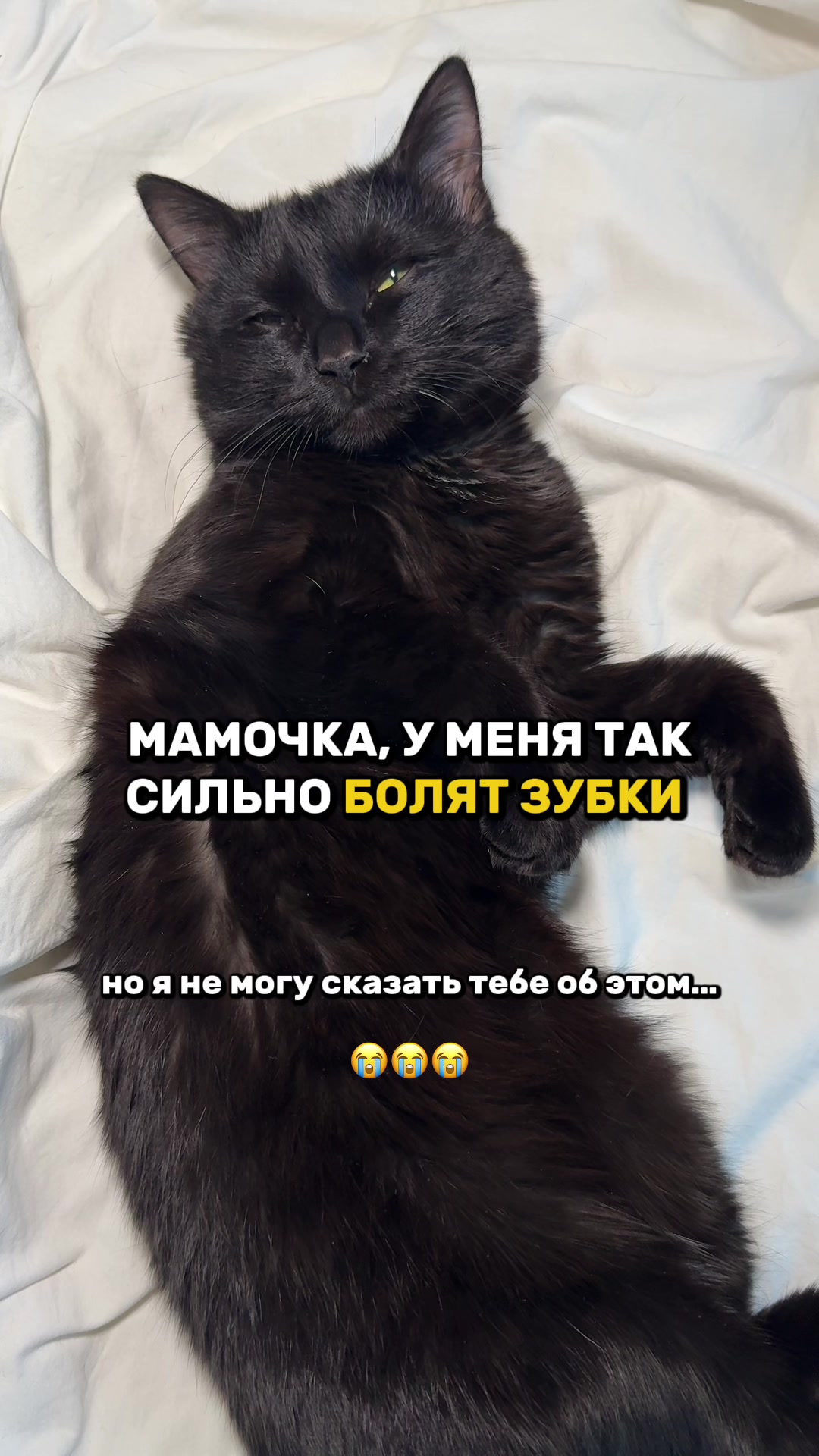 @daria_mikki