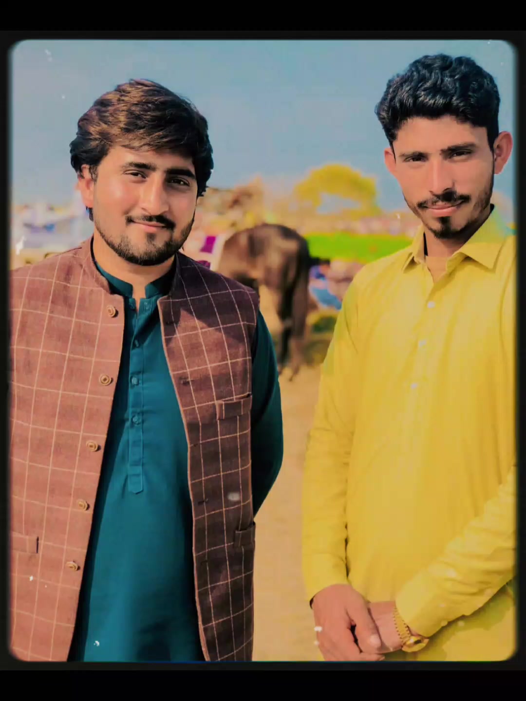@علی شیر ڈھانڈلہ