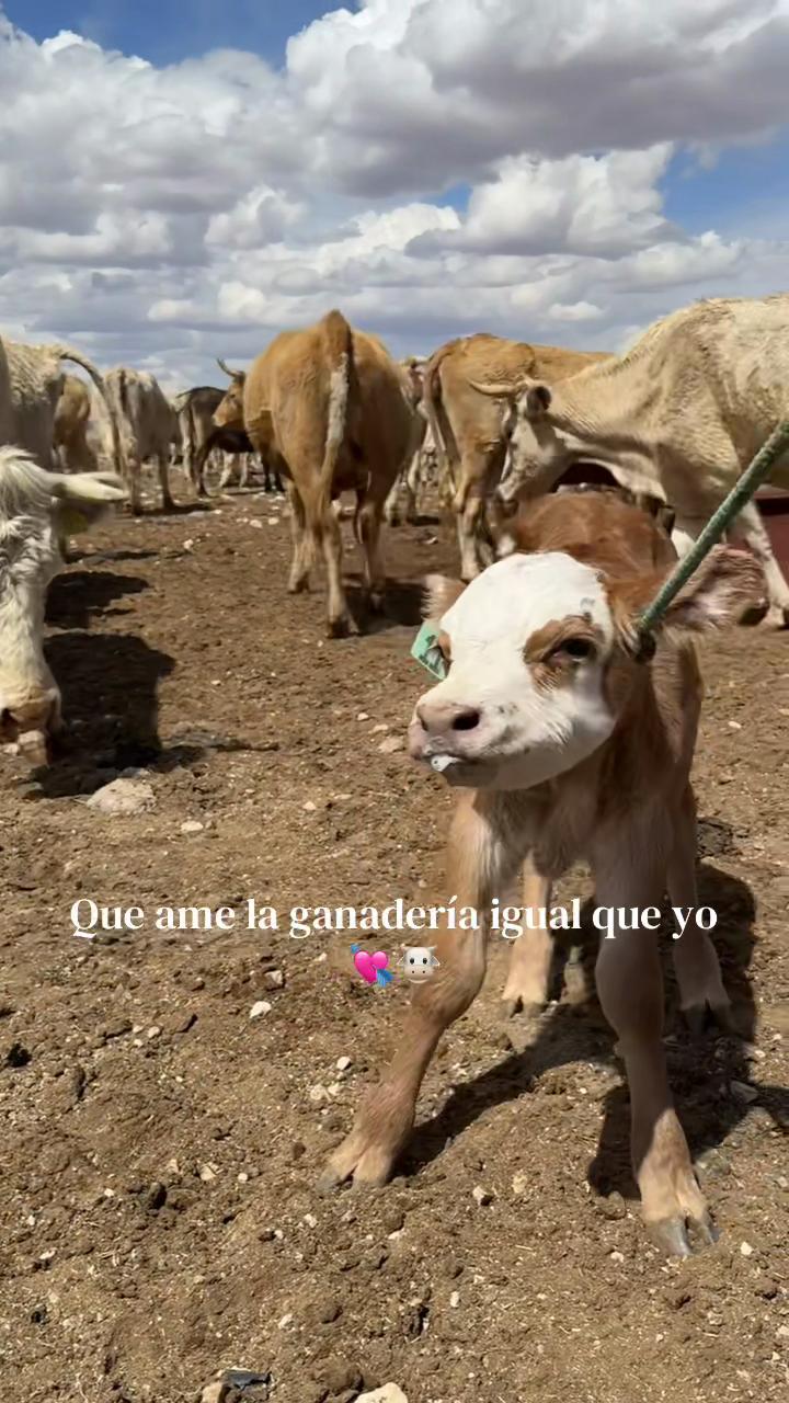 @Dulcito.ooo