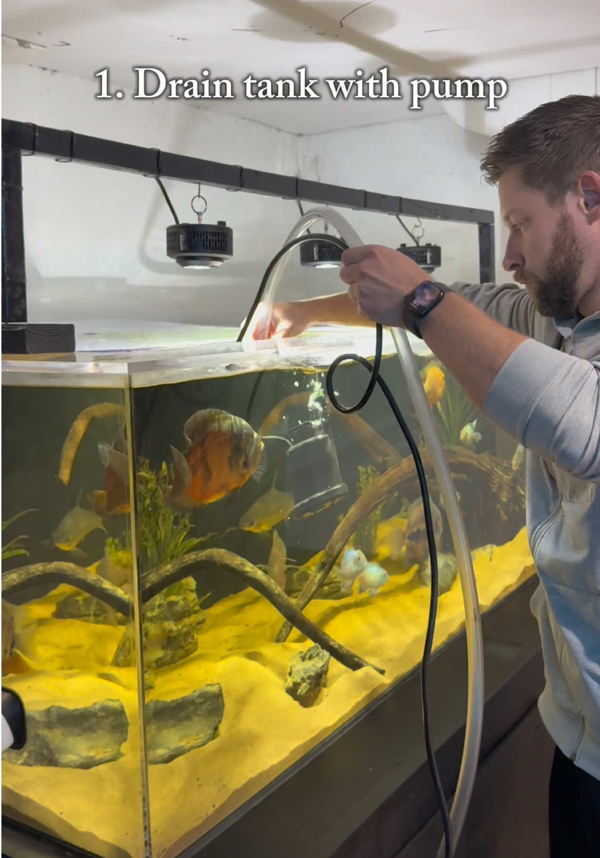 @Cichlid Bros