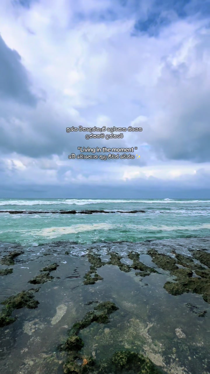 @Amadi Senavirathne