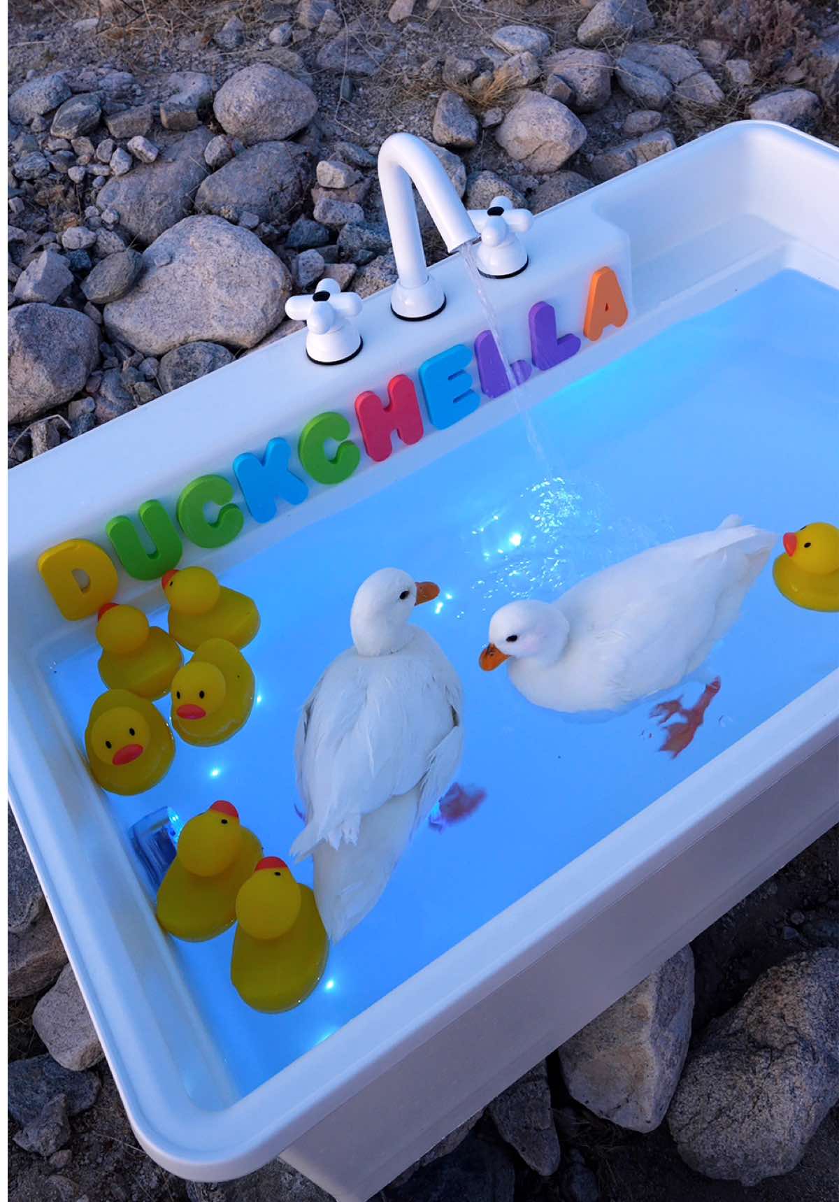@ducks_in_space🪿🪿💦