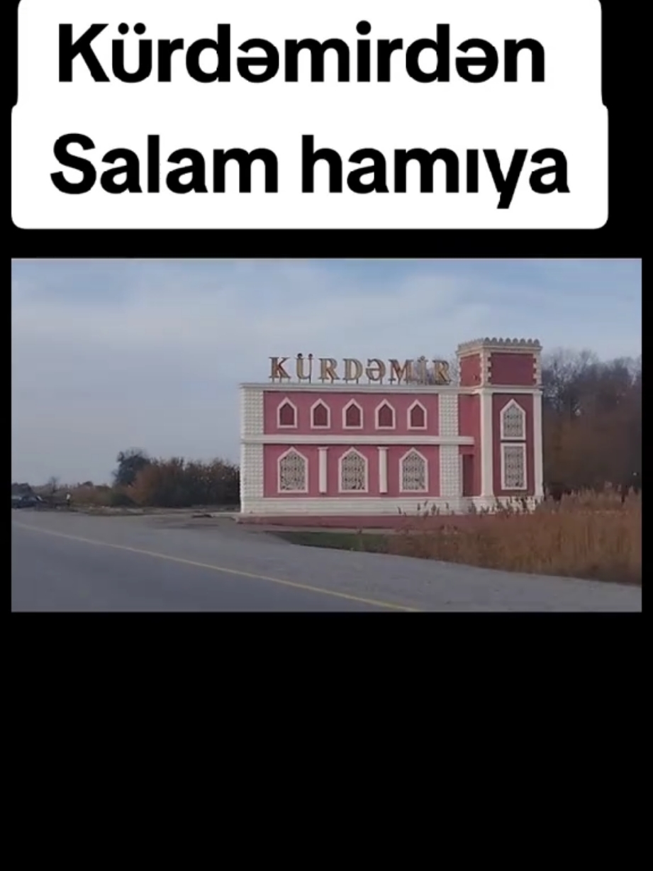 @ELVİN ³³