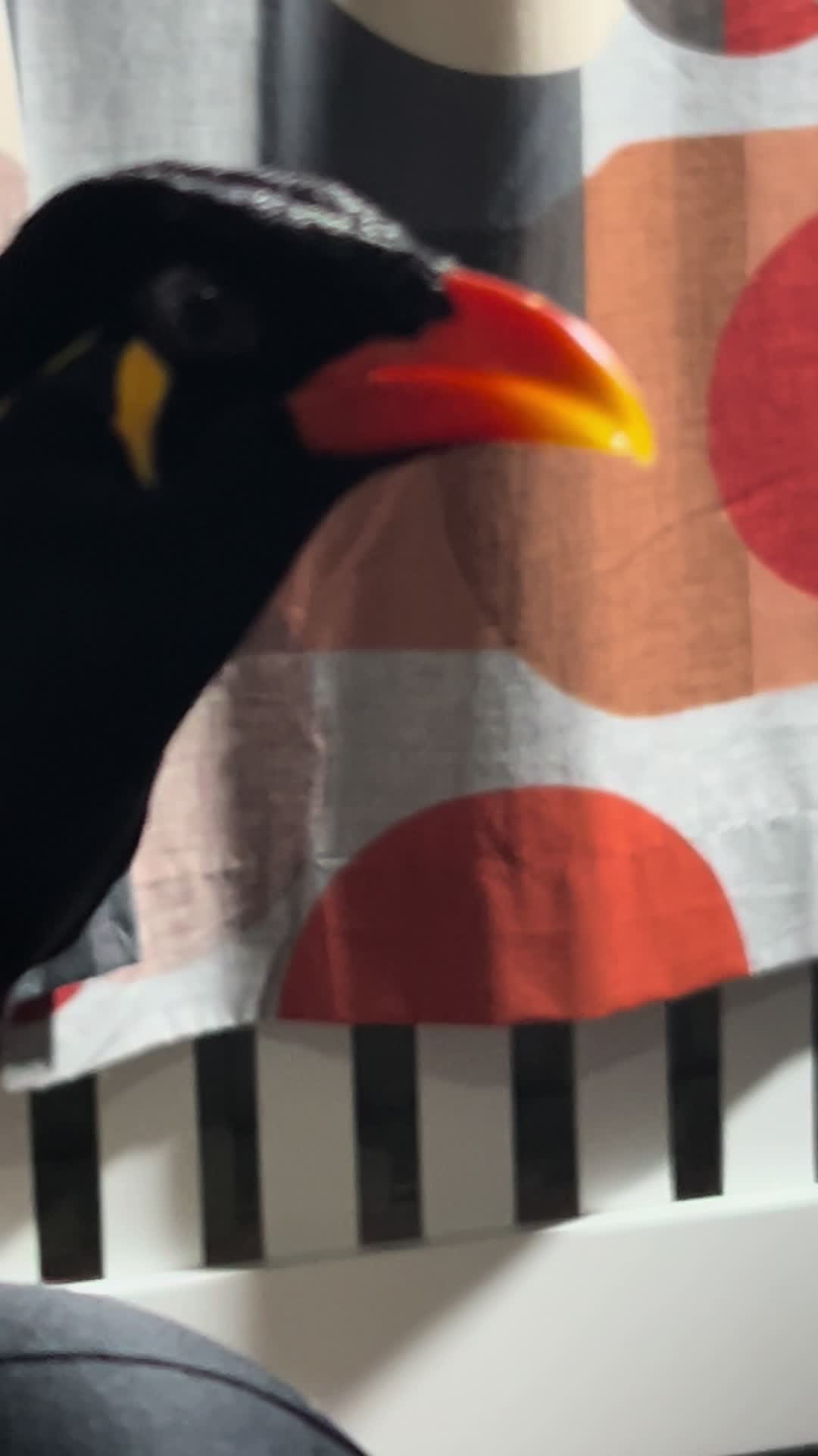 @Daisy_Fantayzee2020
