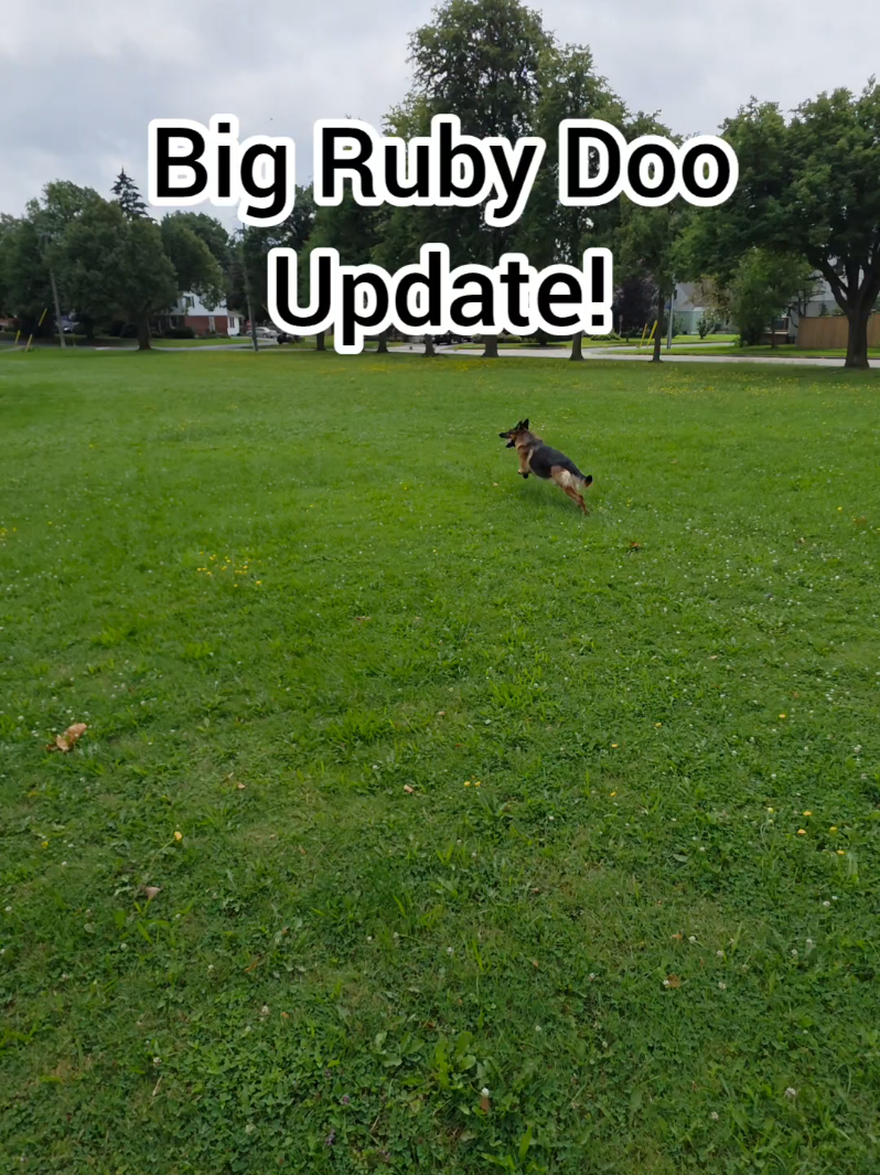 @BuddyandMikes Pal