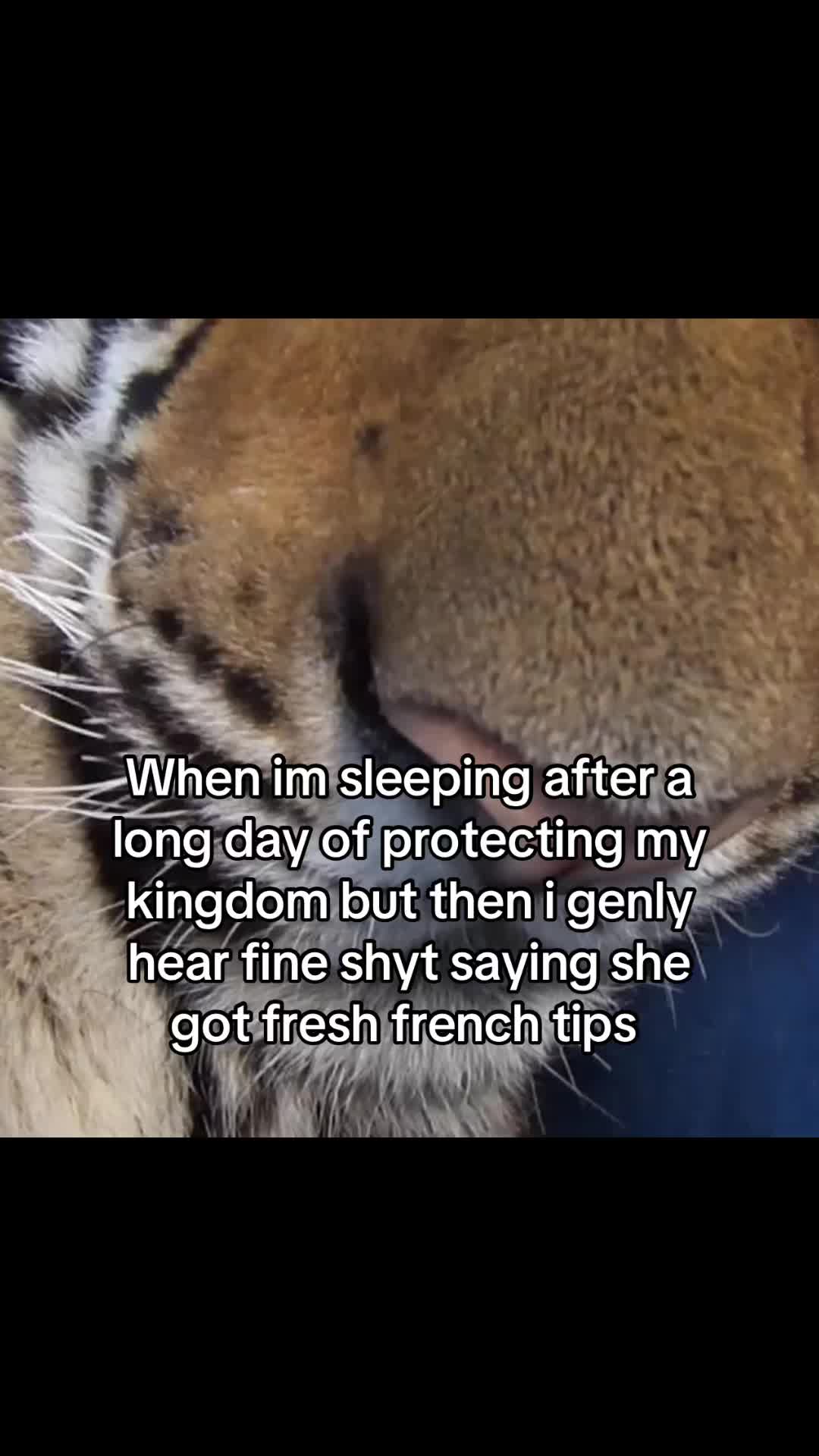 @youngboba7son