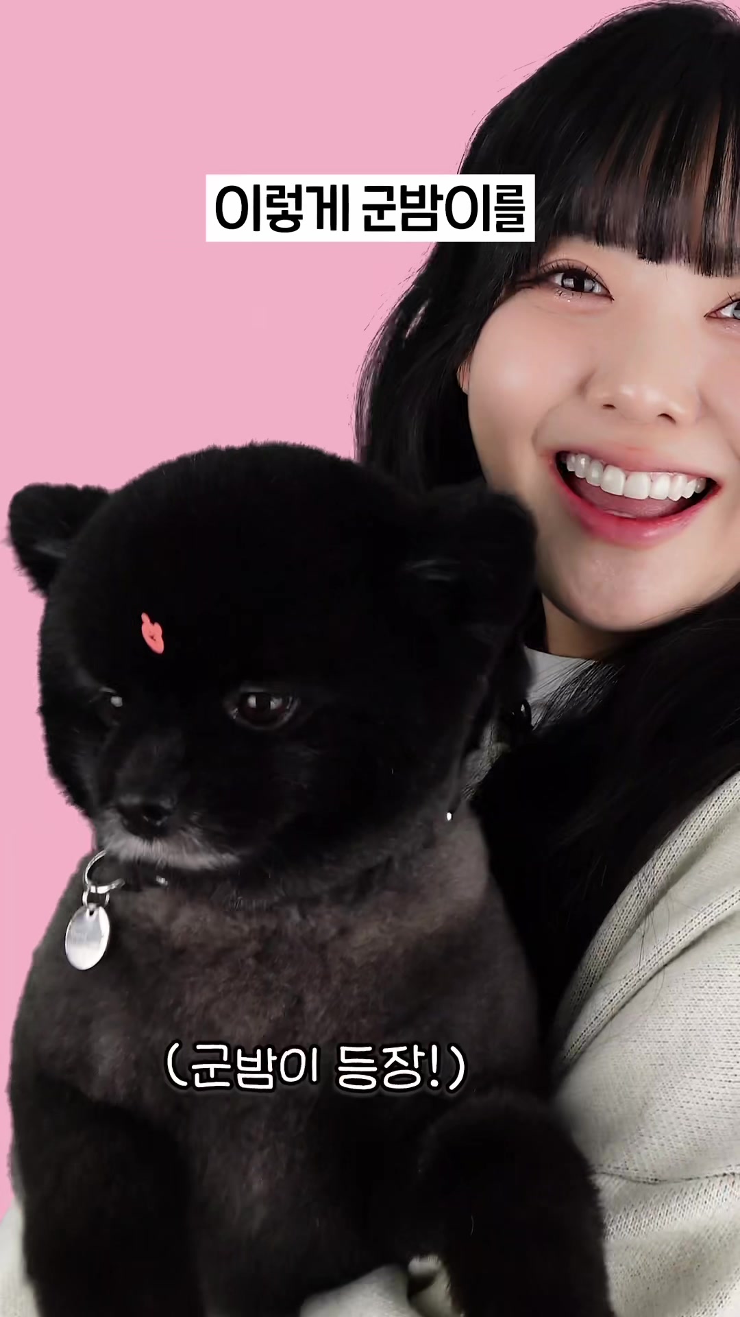 @옐언니 SISTERYELL
