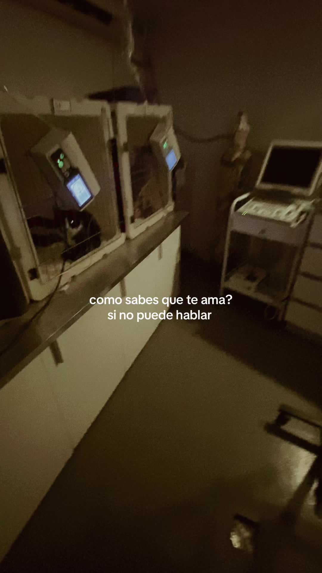 @luu🤍