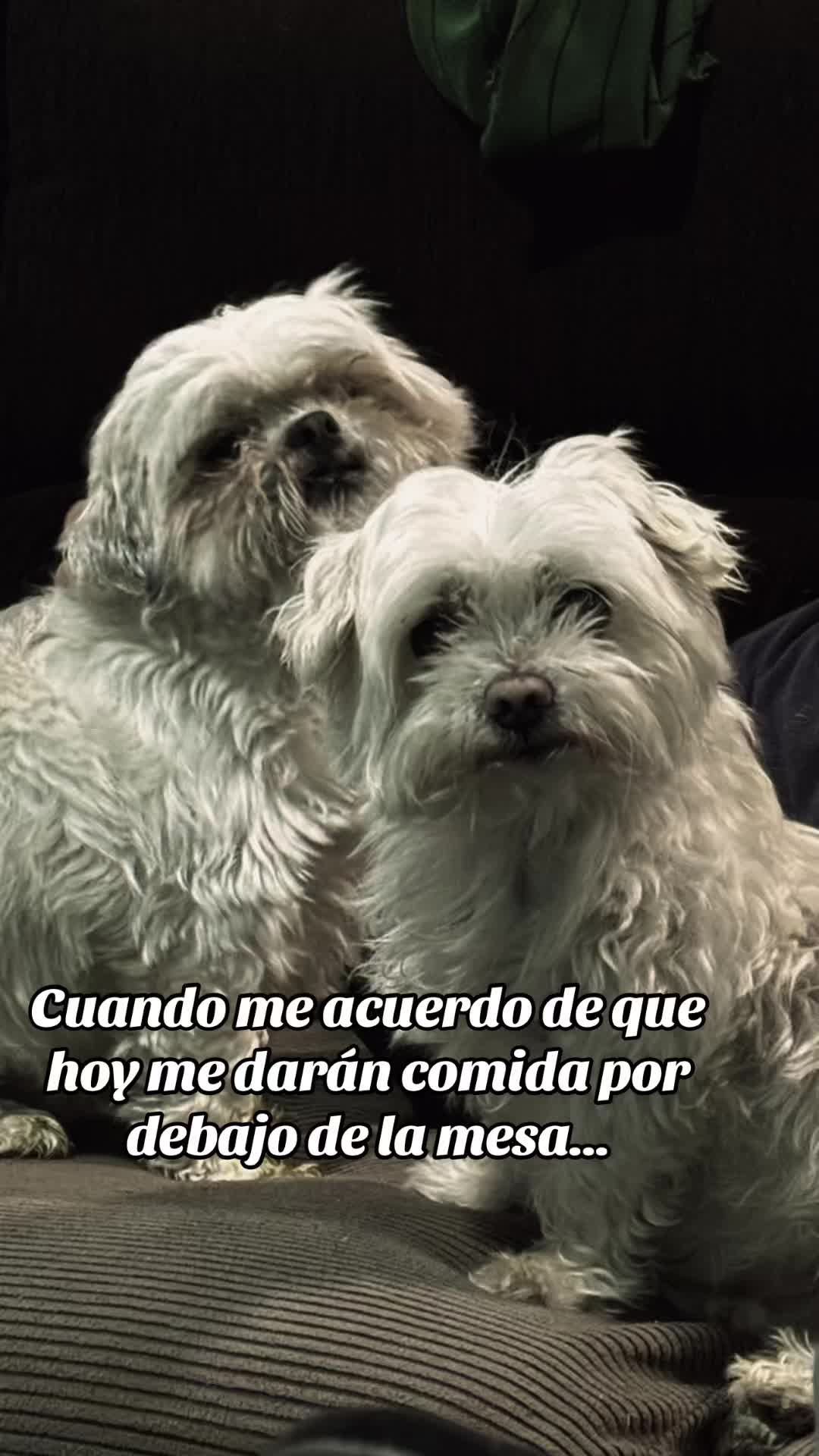 @Miriam Rigüela