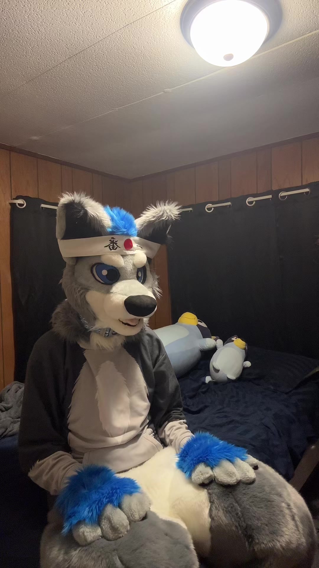 @BlueSilver_Wolf