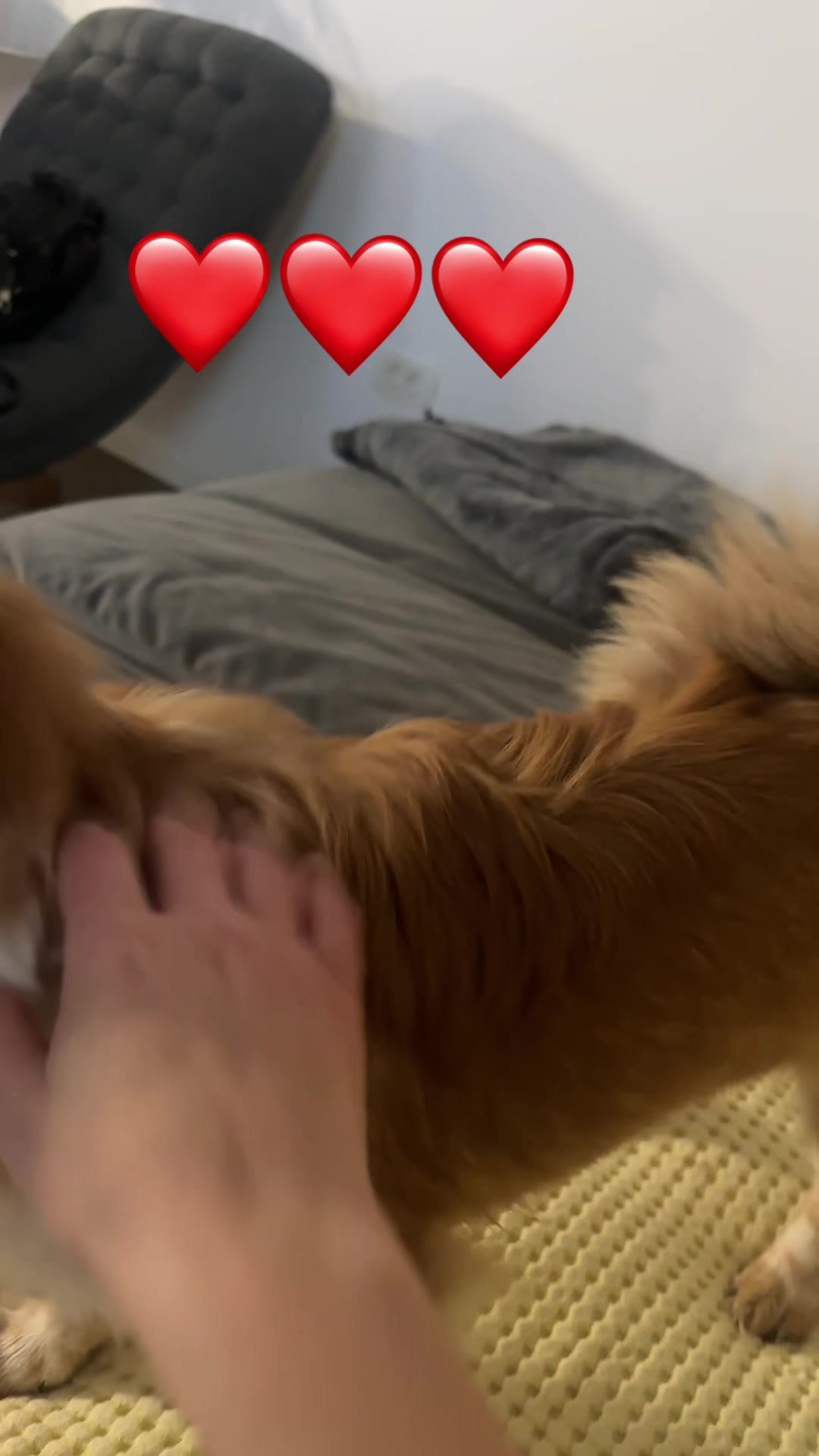 @SimonaGabriela