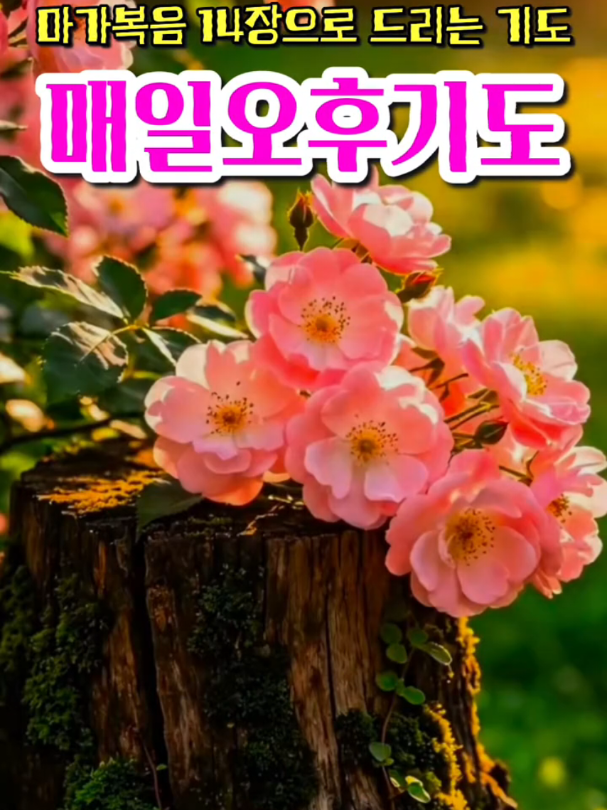 @피켓전도 김종일 목사