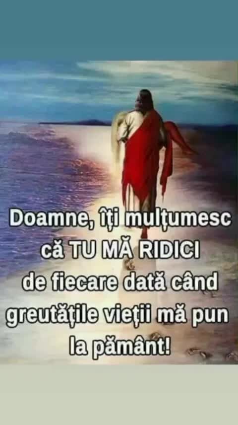 @Cornelia Chelariu
