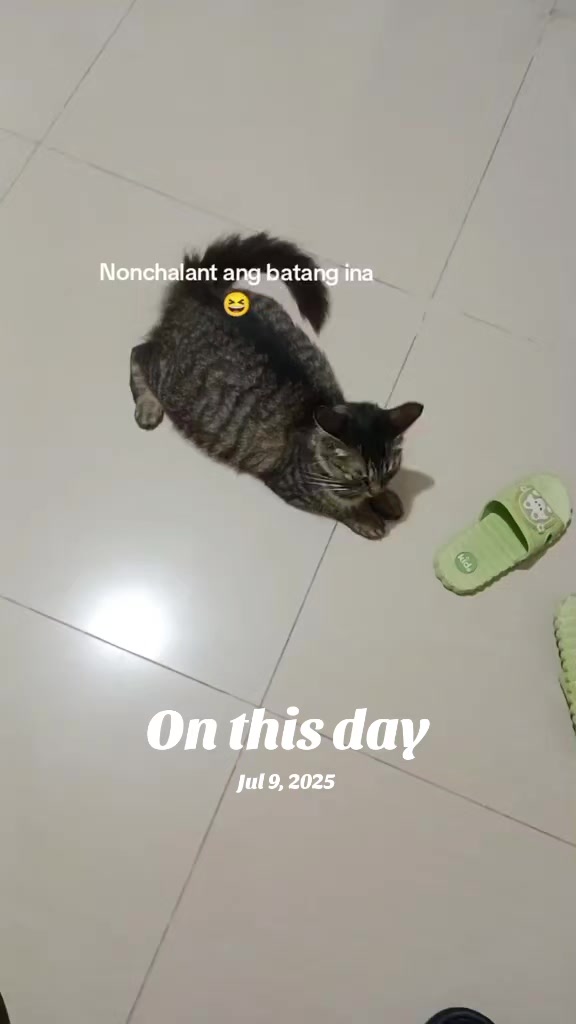 @miwn🥕
