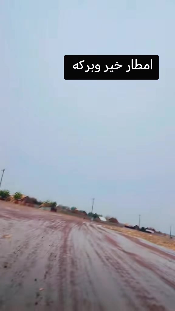 @༺👑༻ زَكِـي