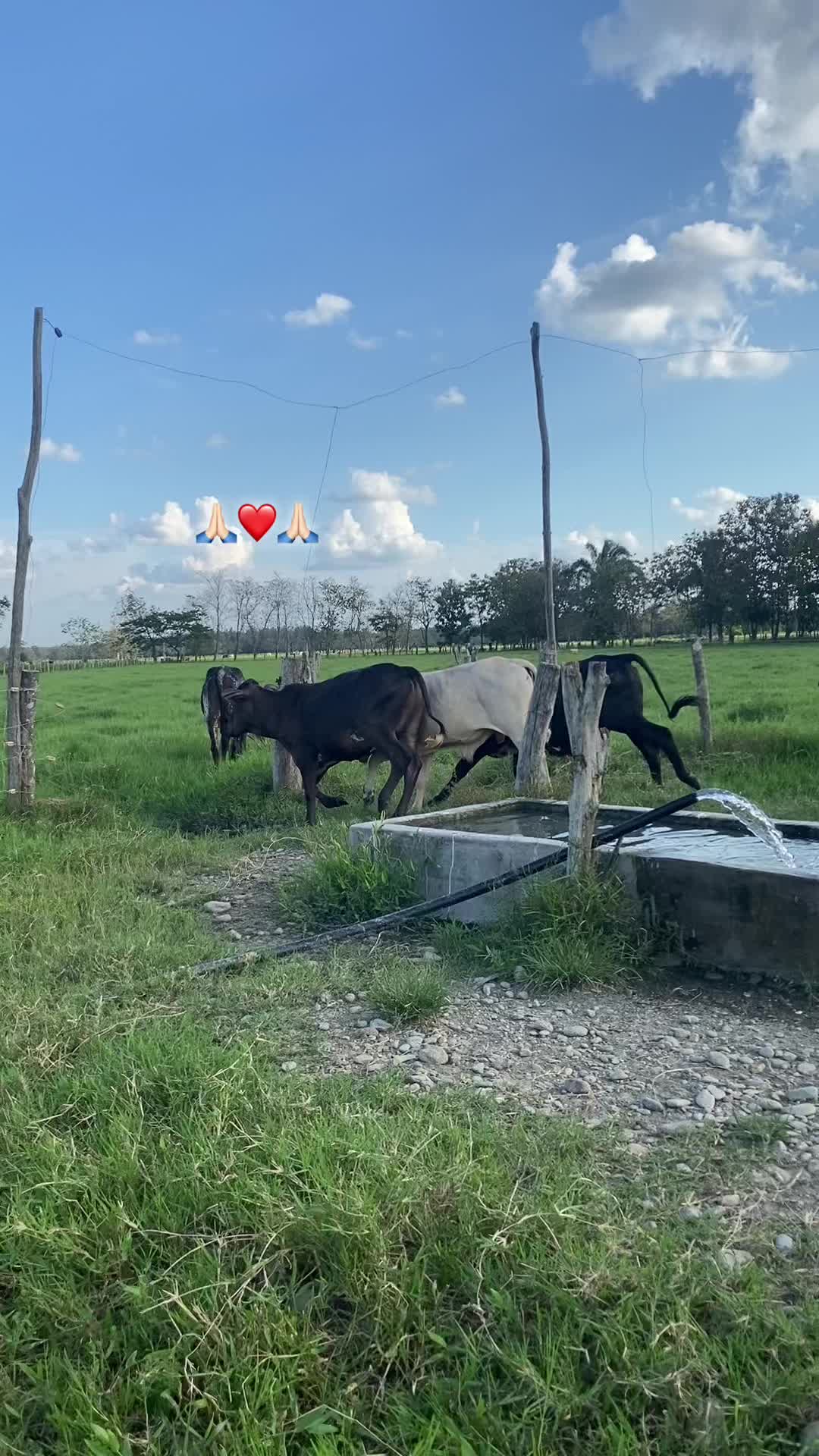 @Jesus D&iacute;az 