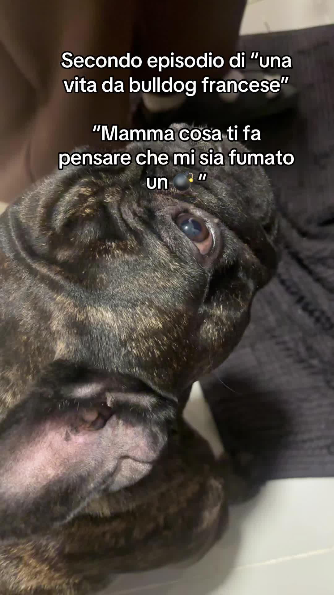 @DittiKekko