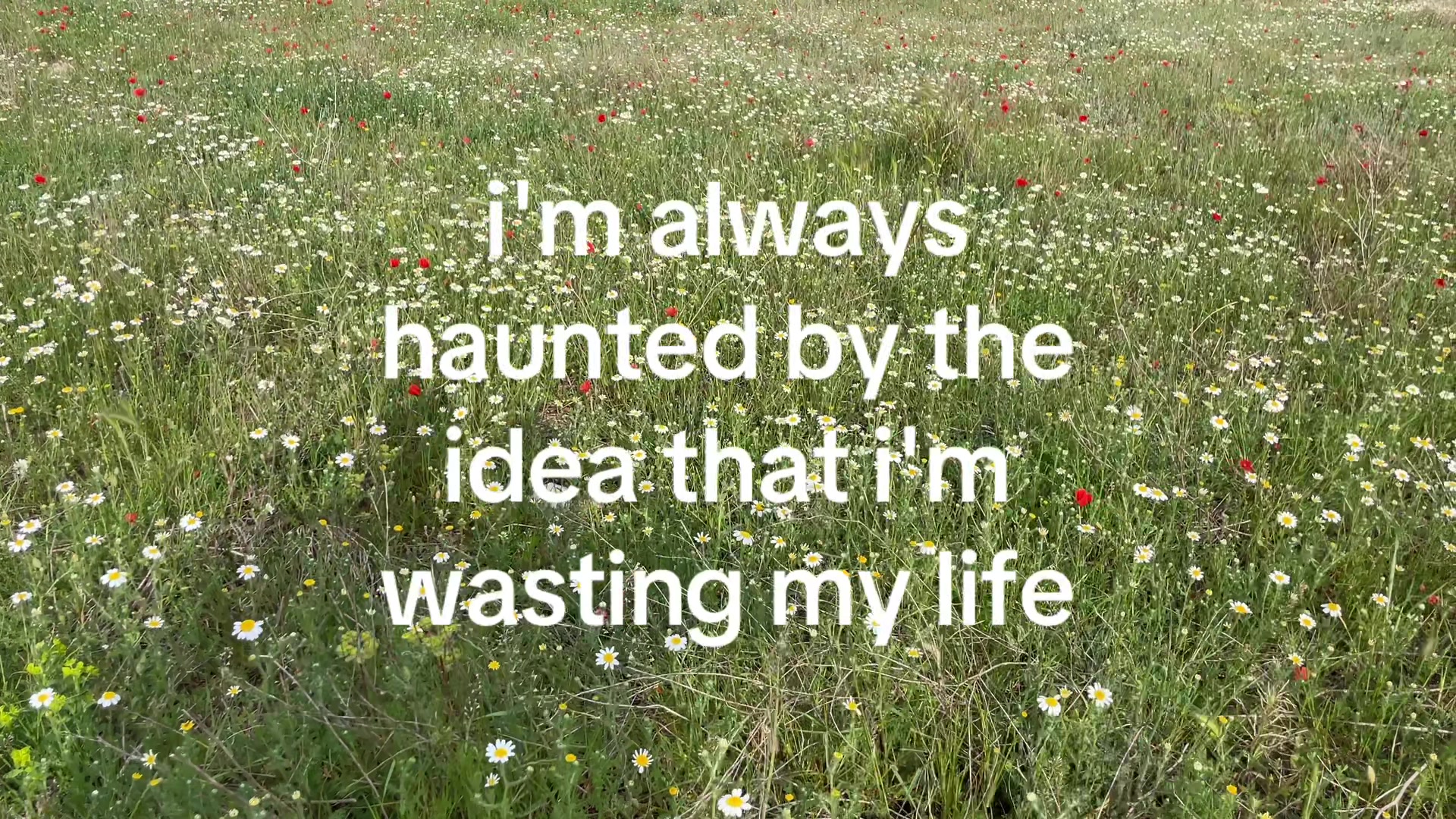 @🪩