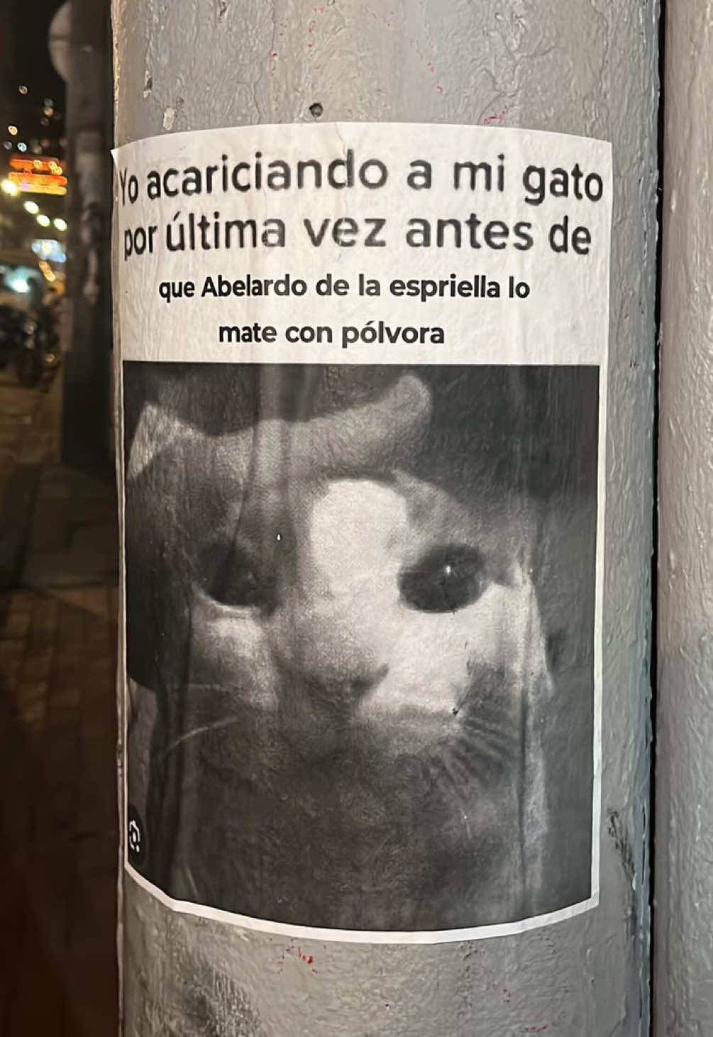 @Ana Sol
