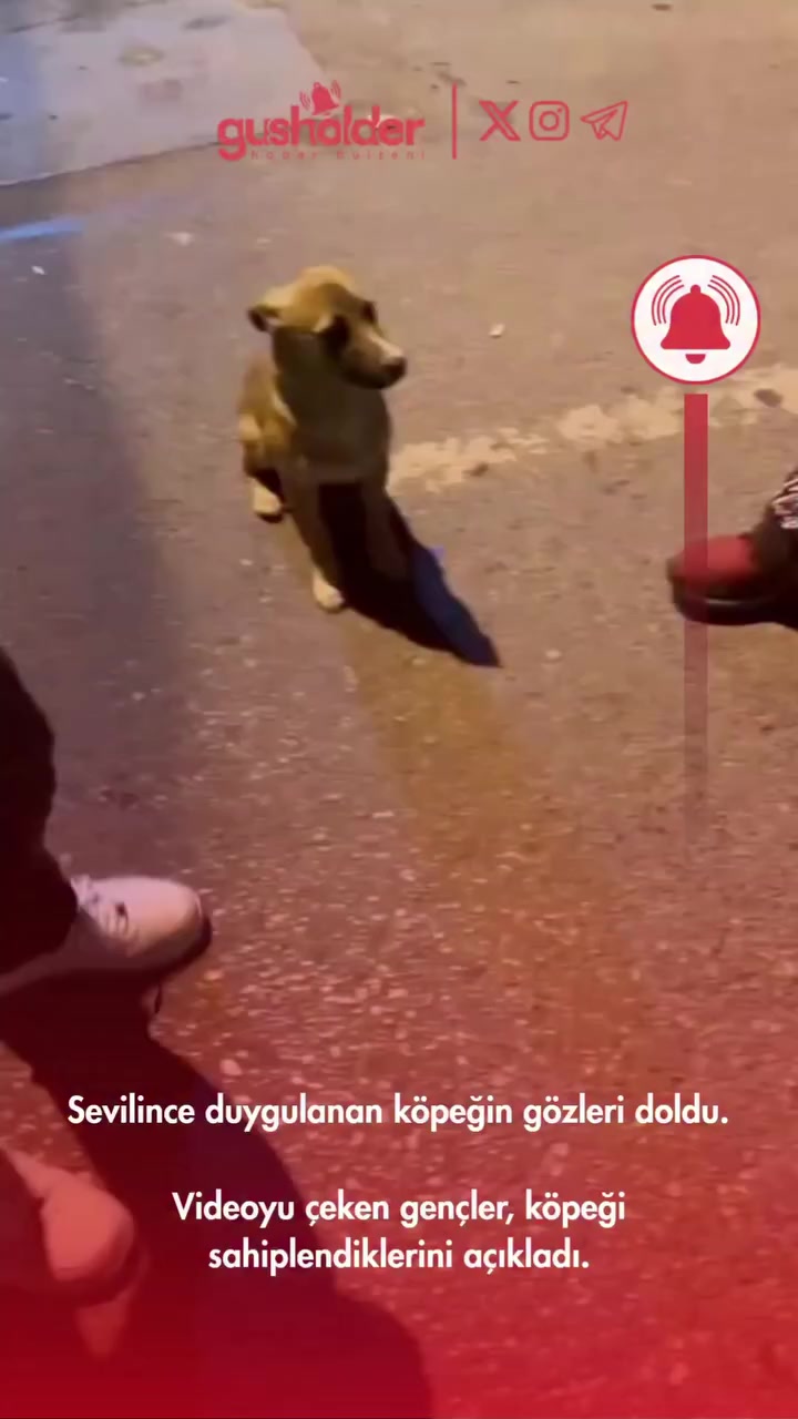 @♨⓿❶❶♨