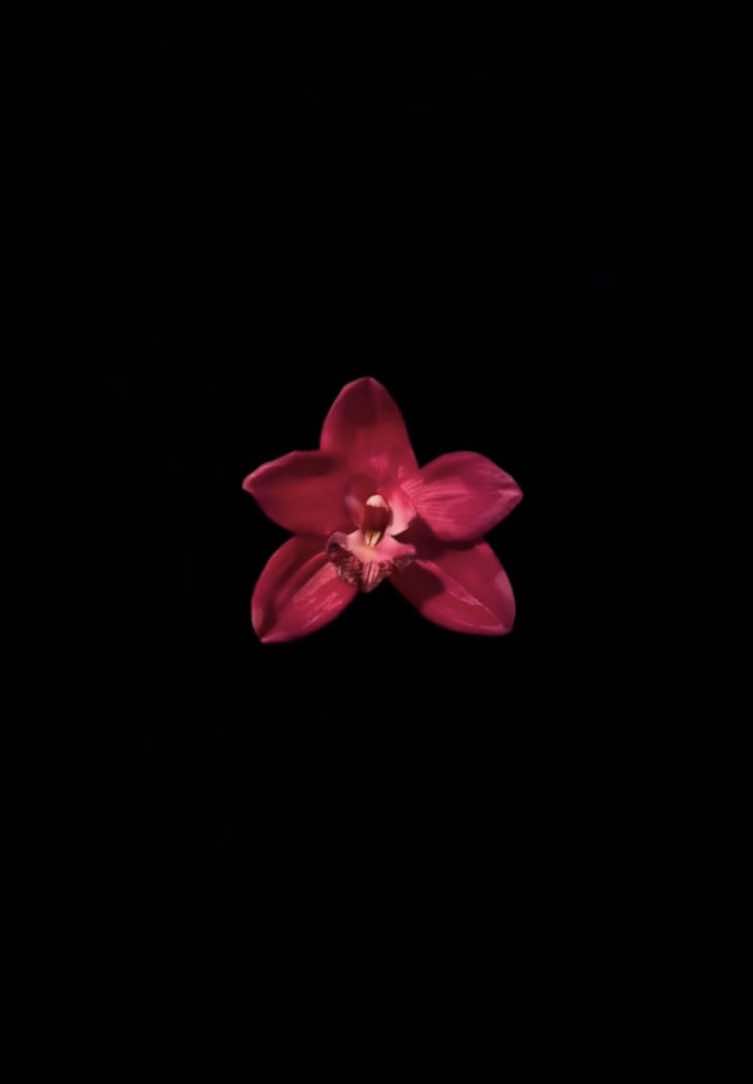 @𝐏𝐨𝐥𝐚'𝐒.𝐬𝐥𝐨𝐩❀