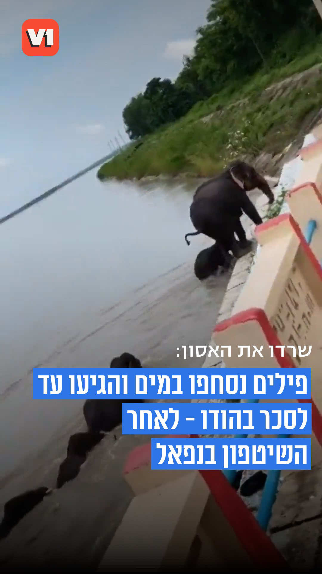 @V1 israel