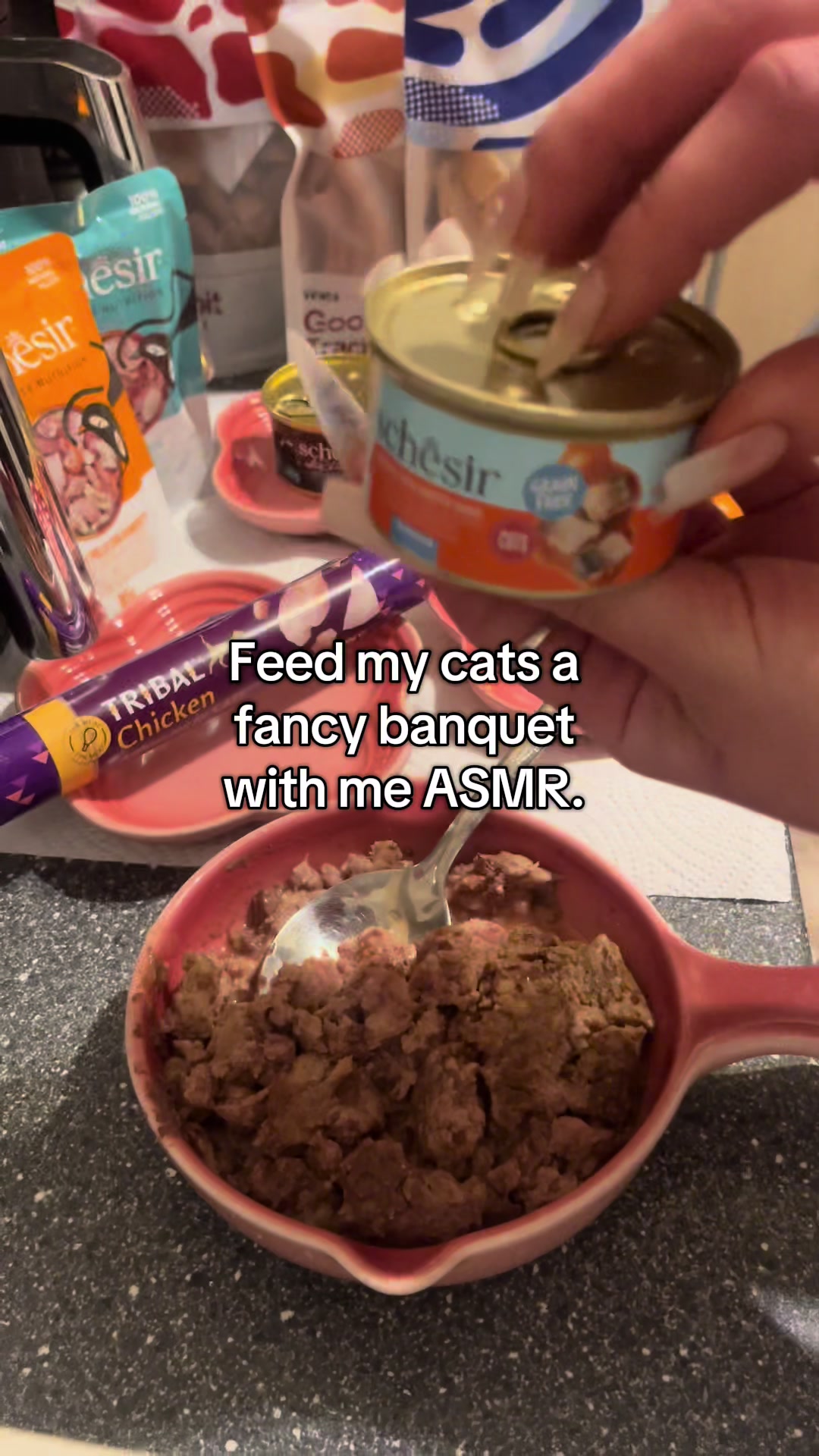 @TheFancyCatsWorld