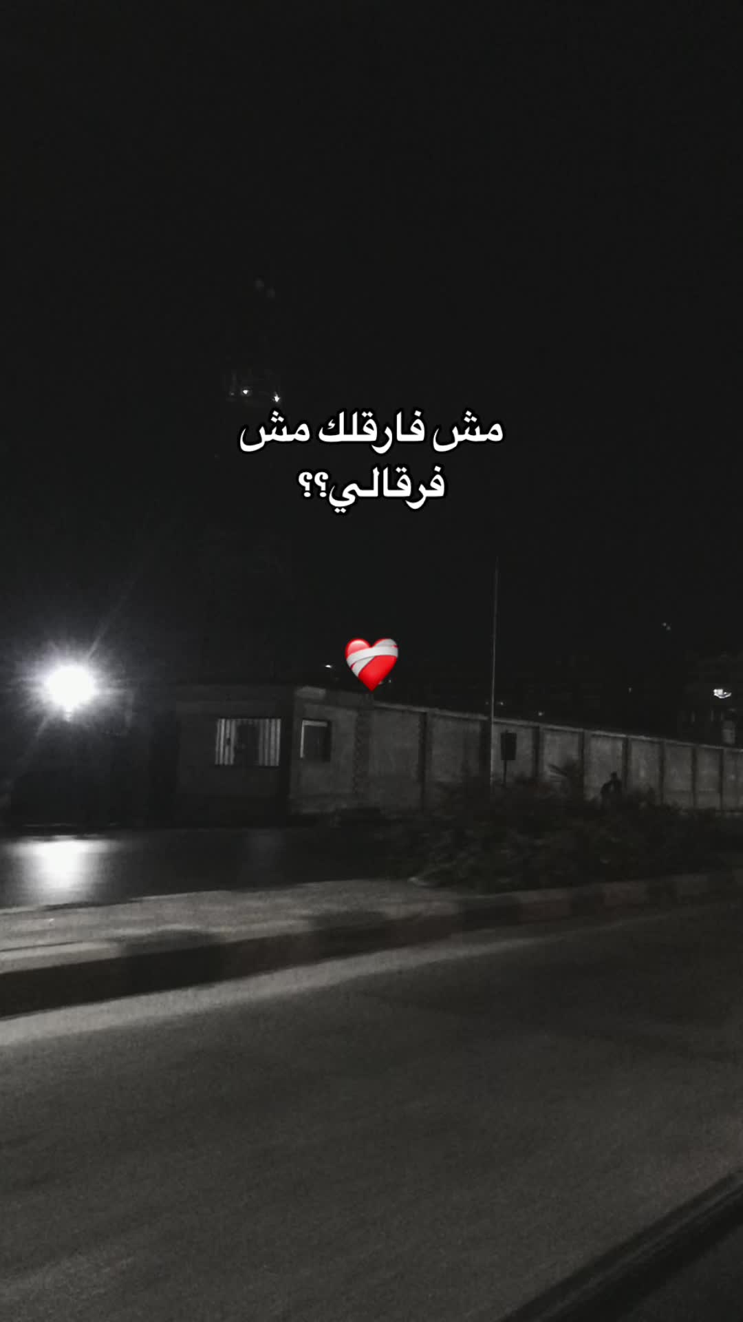 @✨💗🕷بنت بورسعيد🕸💗✨