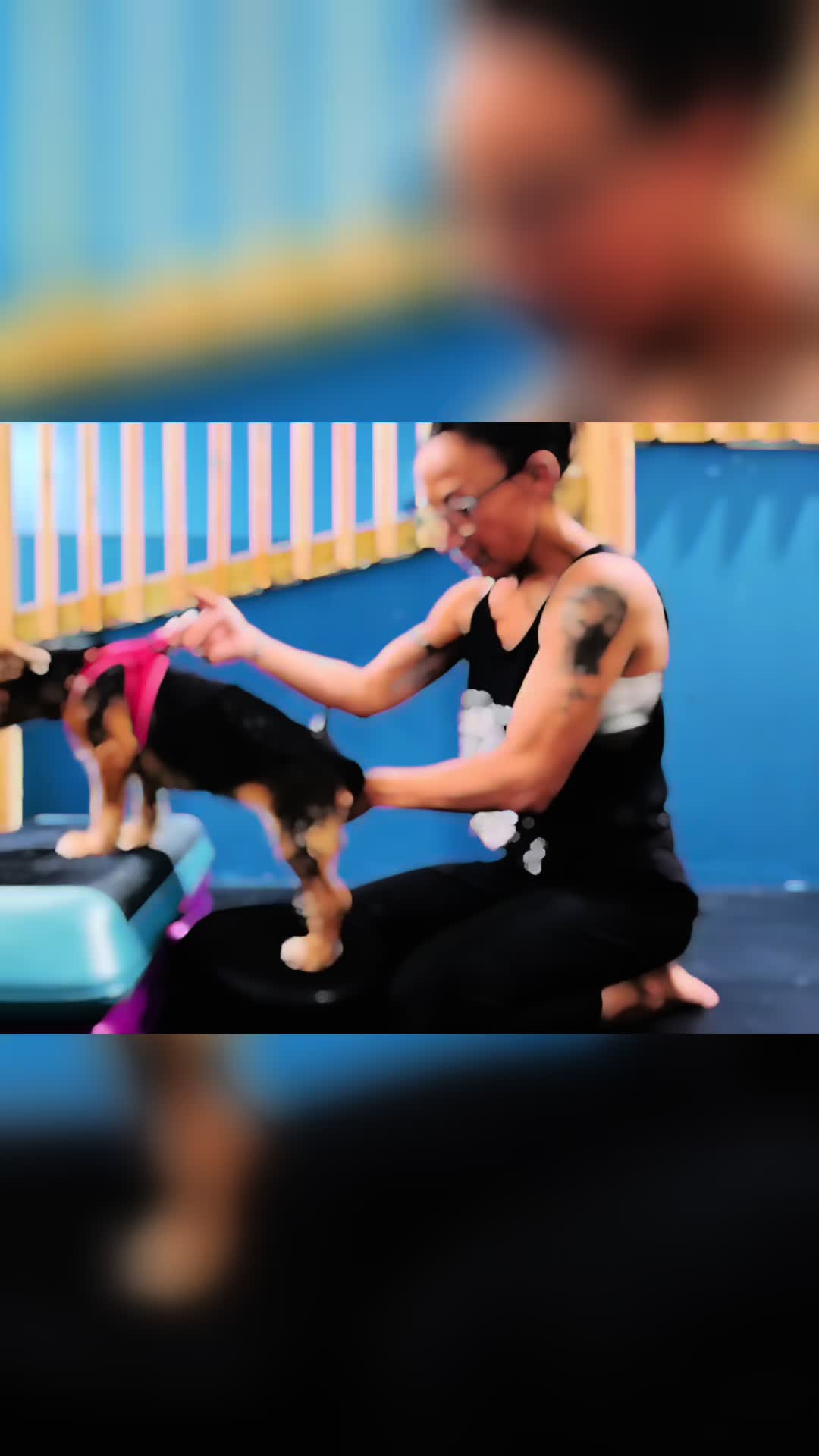 @dogmom76