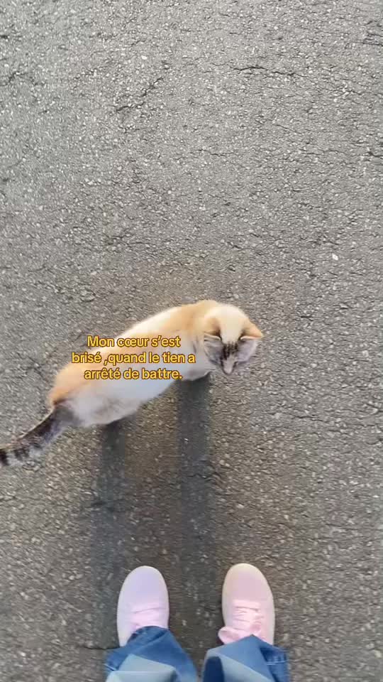 @ℱ.𝓃𝓃𝓎❣️