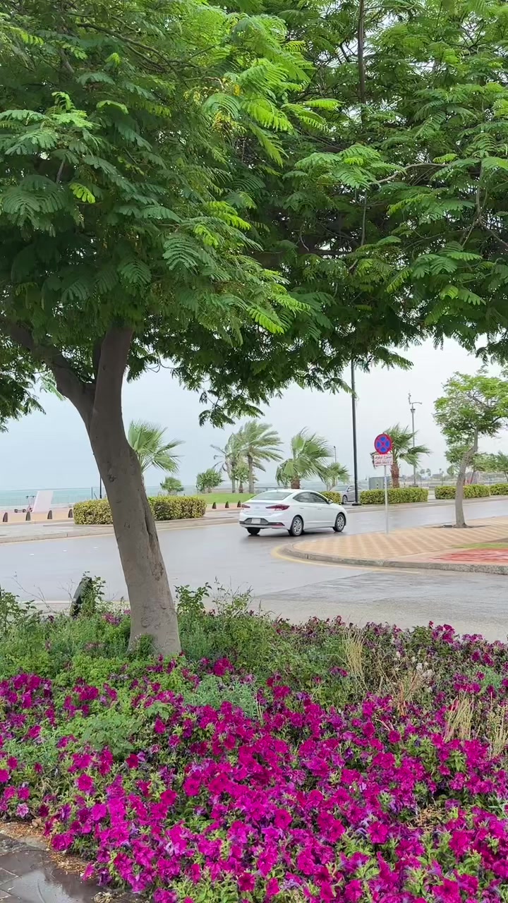 @ملك بلوقررر / الجبيل ✨