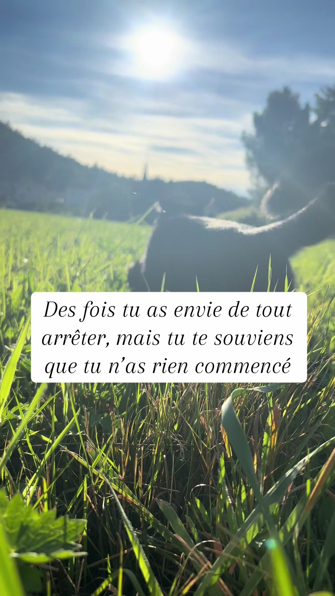 @𝐀𝐥𝐲𝐬𝐬