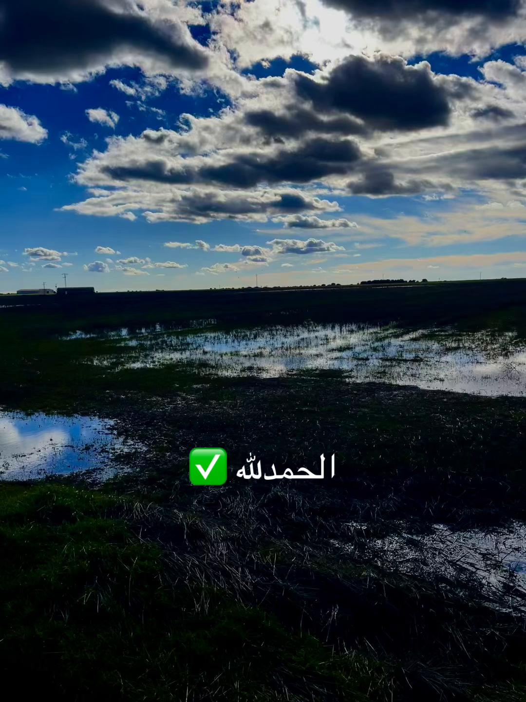 @مسليم
