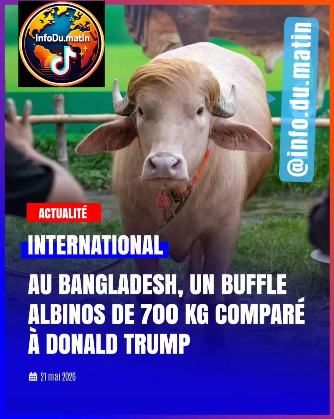 @Info du matin