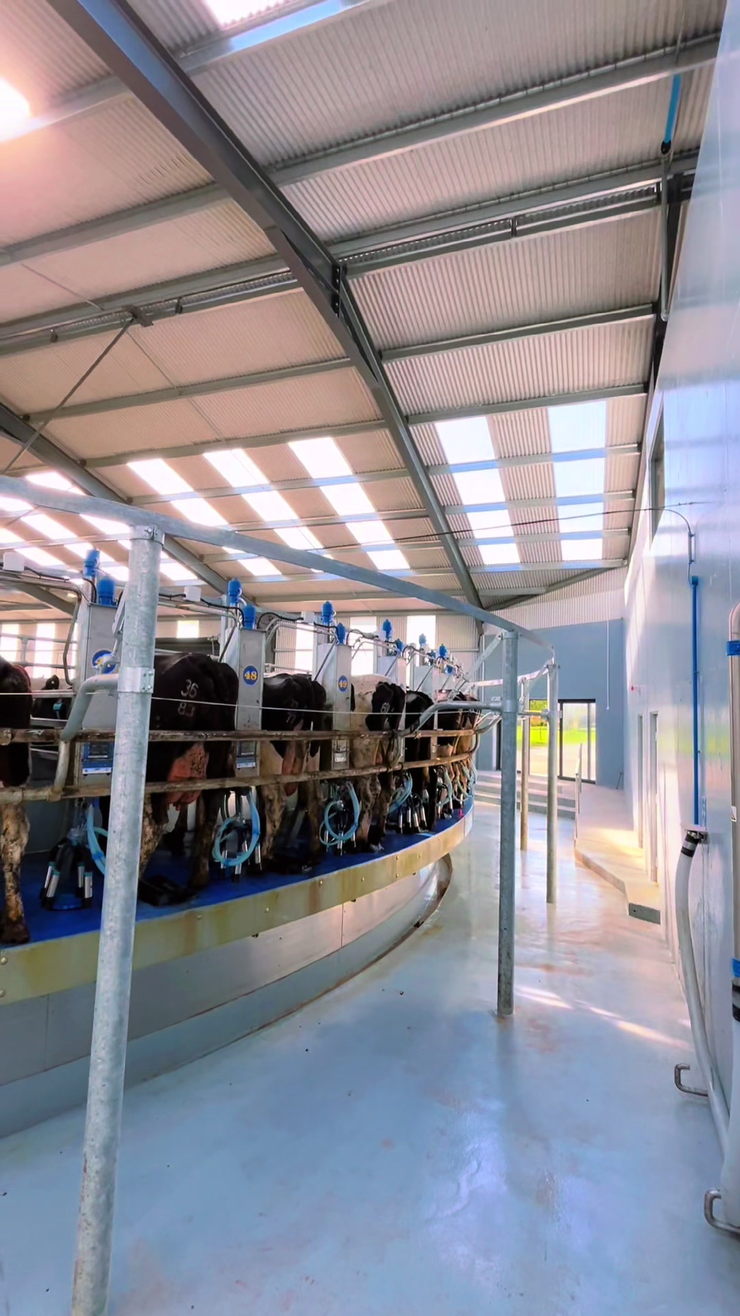 @Dairymaster