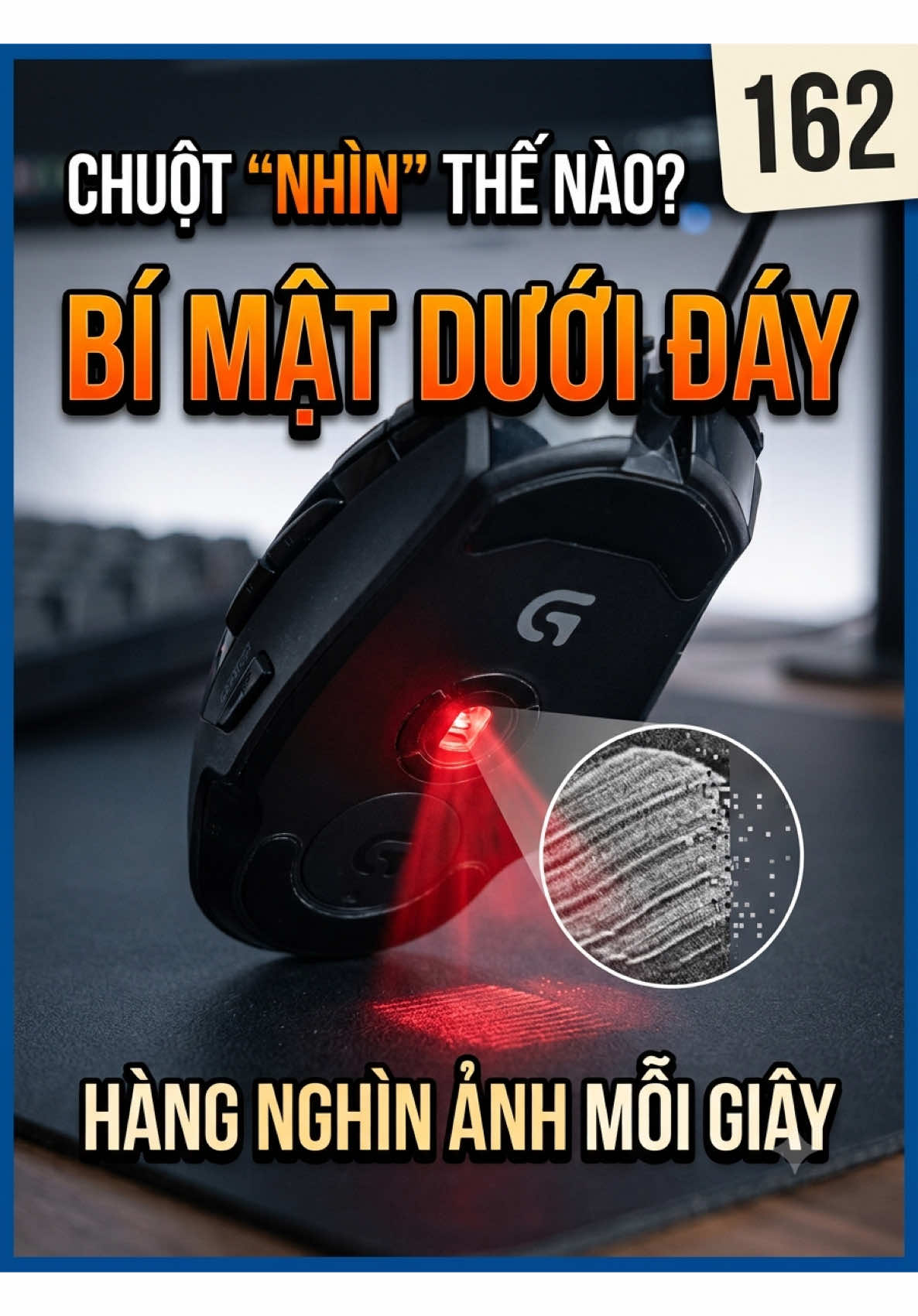 @Kỳ Lân kiến thức