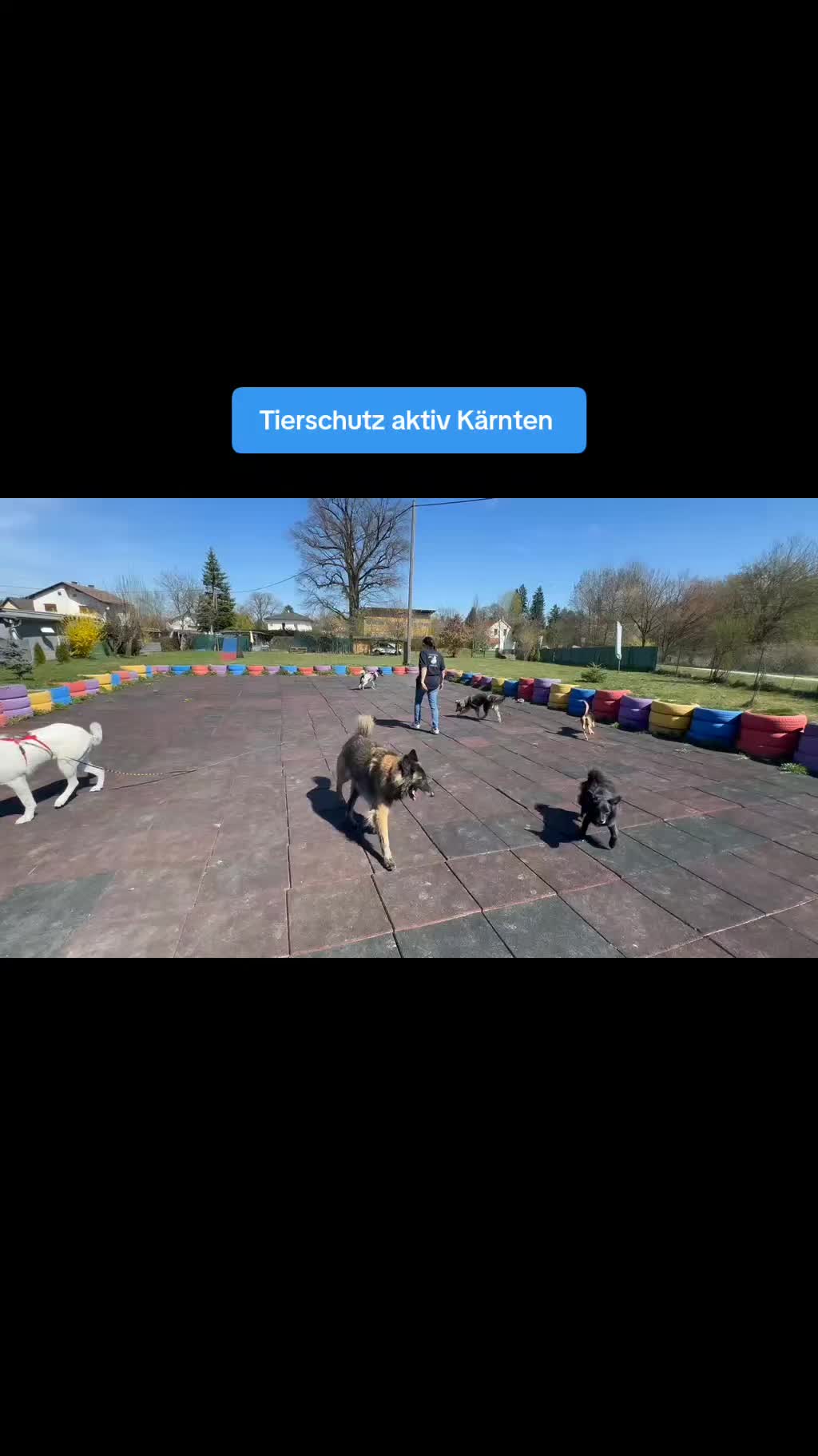 @tierschutz_aktivkaernten