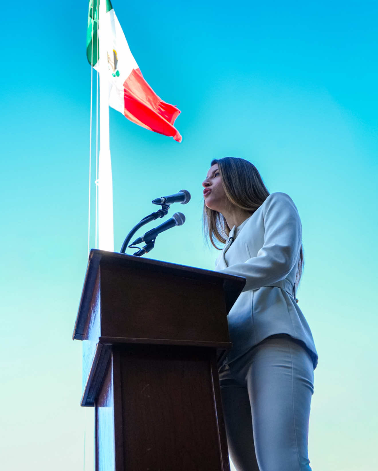 @Paulina Ocaña Encinas
