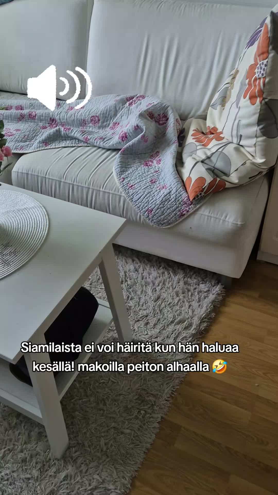 @Katriina