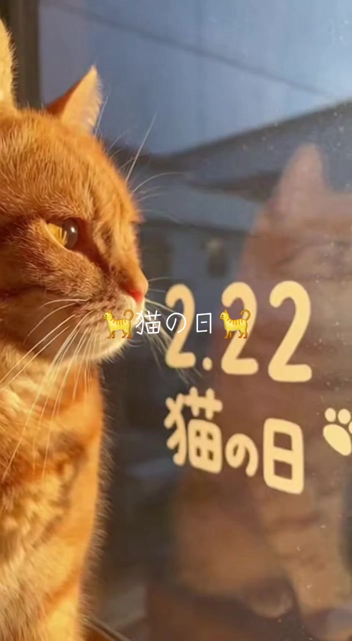 @AI動物園園長