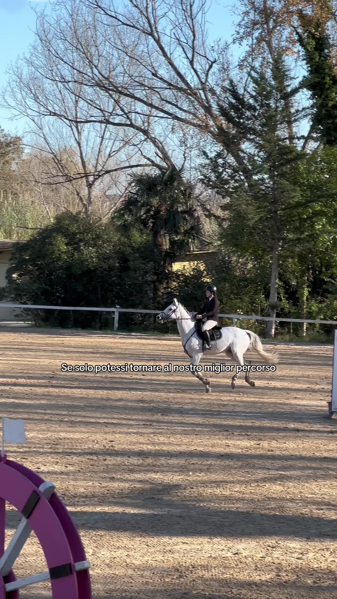 @equestrian_ale