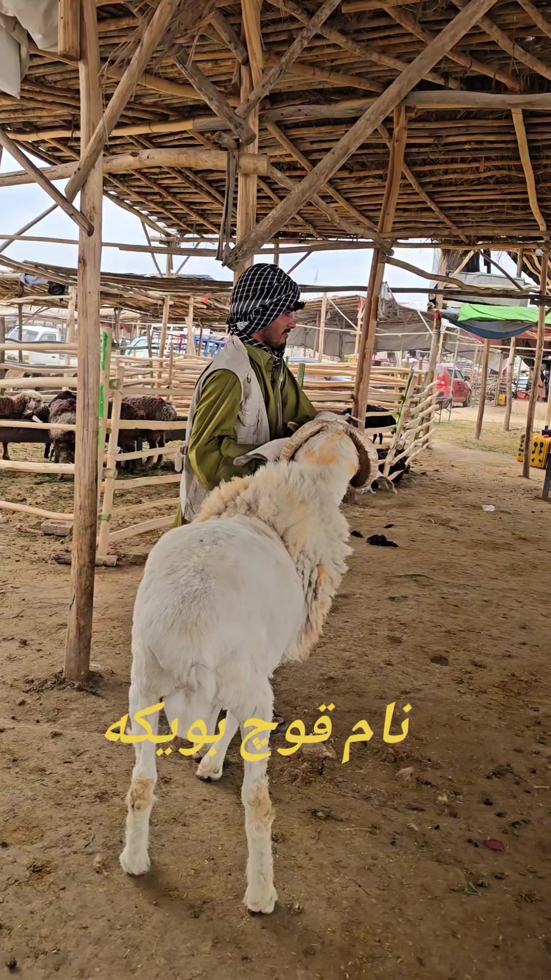 @hayatullah Ishaqzai