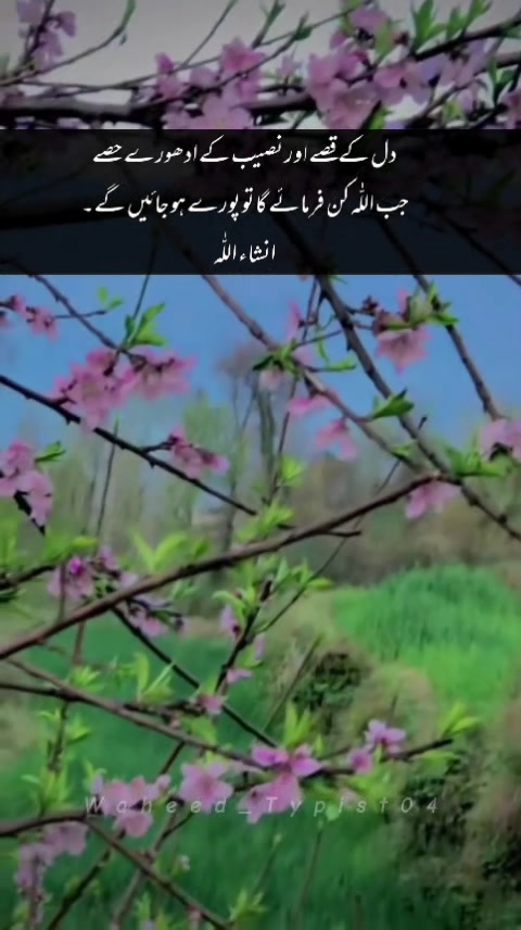 @Majid Khatak